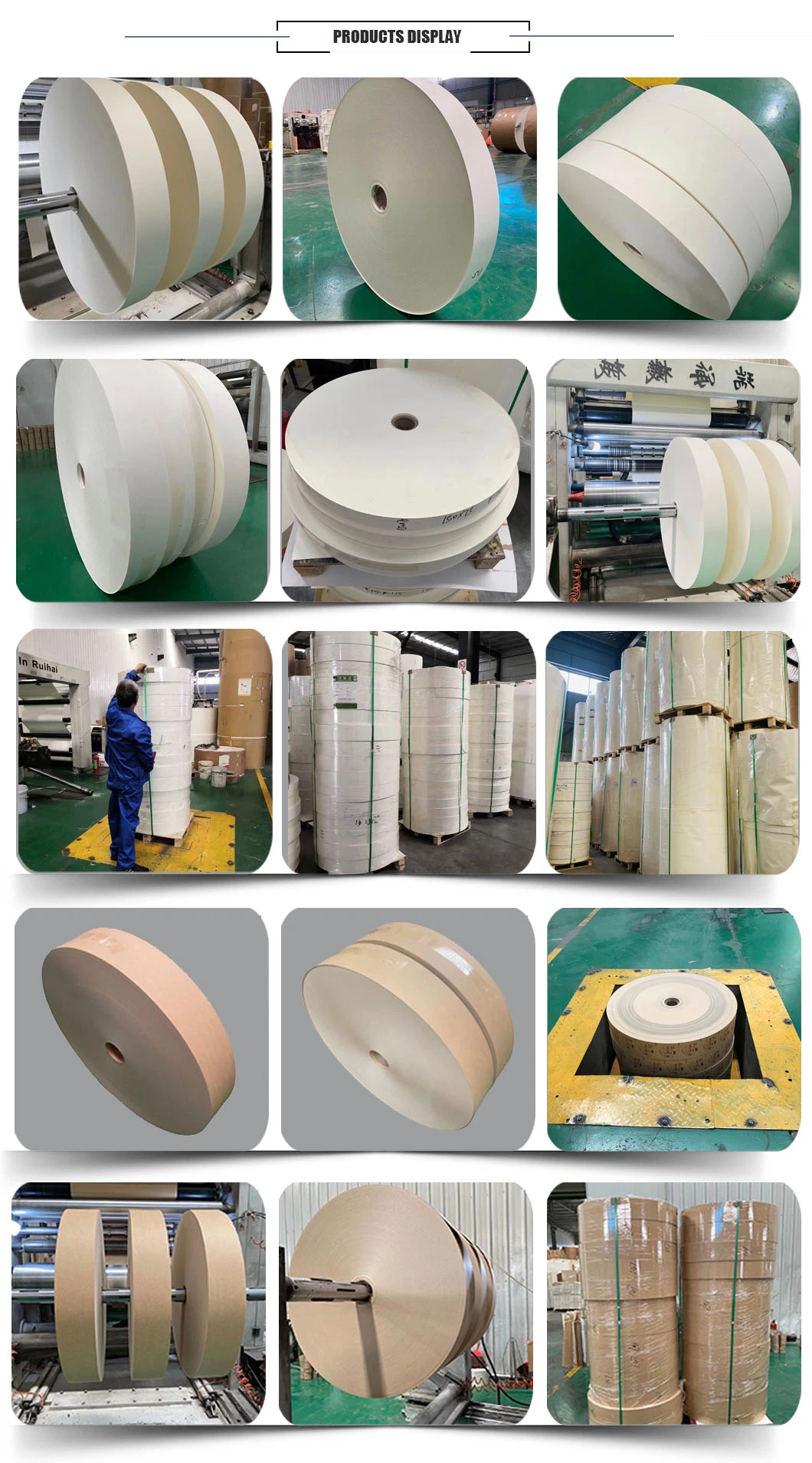 Paper Cup Bottom Roll for Disposable Paper Cups Manufacturer in China