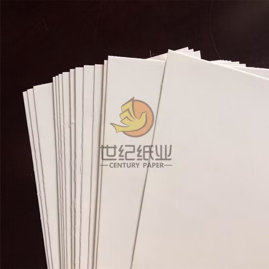 C1s コーティングされたカードボード ホワイト アイボリー バック FBB