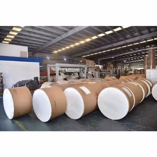 中国の使い捨て紙コップメーカーの紙コップボトムロール