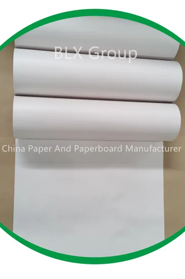 子供たちの描画のための高品質のカスタマイズされた白木質 CAD プロッター画用紙